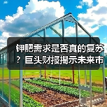 钾肥需求是否真的复苏?巨头财报揭示未来市场关键信号(图4) 钾肥需求是否真的复苏?巨头财报揭示未来市场关键信号(图4)