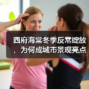 西府海棠冬季反常绽放,为何成城市景观亮点?(图4) 西府海棠冬季反常绽放,为何成城市景观亮点?(图4)