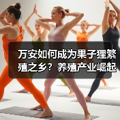万安如何成为果子狸繁殖之乡?养殖产业崛起之路 万安如何成为果子狸繁殖之乡?养殖产业崛起之路