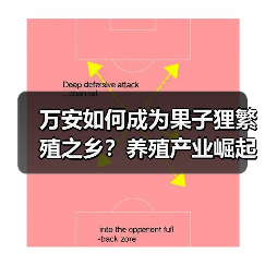 万安如何成为果子狸繁殖之乡?养殖产业崛起之路(图3) 万安如何成为果子狸繁殖之乡?养殖产业崛起之路(图3)