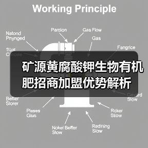 矿源黄腐酸钾生物有机肥招商加盟优势解析(图2) 矿源黄腐酸钾生物有机肥招商加盟优势解析(图2)