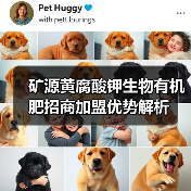 矿源黄腐酸钾生物有机肥招商加盟优势解析(图4) 矿源黄腐酸钾生物有机肥招商加盟优势解析(图4)