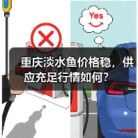 重庆淡水鱼价格稳,供应充足行情如何?(图3) 重庆淡水鱼价格稳,供应充足行情如何?(图3)