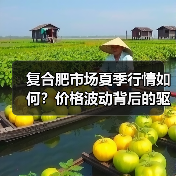 复合肥市场夏季行情如何?价格波动背后的驱动因素(图1) 复合肥市场夏季行情如何?价格波动背后的驱动因素(图1)