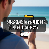 海微生物菌有机肥料如何提升土壤肥力?(图1) 海微生物菌有机肥料如何提升土壤肥力?(图1)