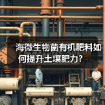 海微生物菌有机肥料如何提升土壤肥力?(图3) 海微生物菌有机肥料如何提升土壤肥力?(图3)