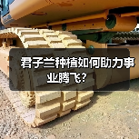 君子兰种植如何助力事业腾飞?(图3) 君子兰种植如何助力事业腾飞?(图3)