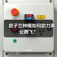 君子兰种植如何助力事业腾飞?(图4) 君子兰种植如何助力事业腾飞?(图4)