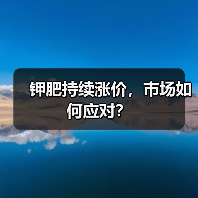 钾肥持续涨价,市场如何应对?(图3) 钾肥持续涨价,市场如何应对?(图3)