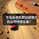 生物炭有机肥如何助力农业可持续发展?(图2) 生物炭有机肥如何助力农业可持续发展?(图2)