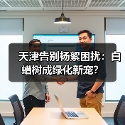 天津告别杨絮困扰:白蜡树成绿化新宠?(图3) 天津告别杨絮困扰:白蜡树成绿化新宠?(图3)