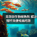 高效微生物腐熟剂 解决秸秆粪便难腐问题(图1) 高效微生物腐熟剂 解决秸秆粪便难腐问题(图1)