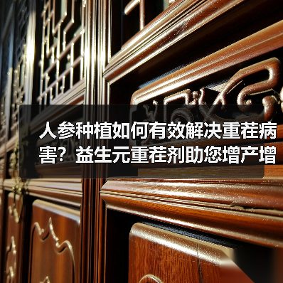 人参种植如何有效解决重茬病害?益生元重茬剂助您增产增收(图2) 人参种植如何有效解决重茬病害?益生元重茬剂助您增产增收(图2)