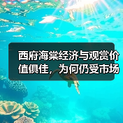 西府海棠经济与观赏价值俱佳，为何仍受市场青睐？（图3）