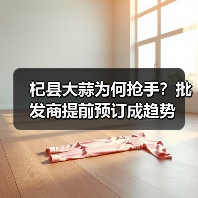 杞县大蒜为何抢手？批发商提前预订成趋势（图2）