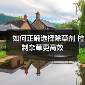 如何正确选择除草剂 控制杂草更高效(图2) 如何正确选择除草剂 控制杂草更高效(图2)