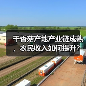 干香菇产地产业链成熟,农民收入如何提升?(图2) 干香菇产地产业链成熟,农民收入如何提升?(图2)