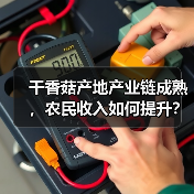 干香菇产地产业链成熟,农民收入如何提升?(图4) 干香菇产地产业链成熟,农民收入如何提升?(图4)