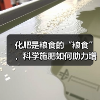 化肥是粮食的“粮食”,科学施肥如何助力增产?(图3) 化肥是粮食的“粮食”,科学施肥如何助力增产?(图3)