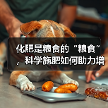 化肥是粮食的“粮食”，科学施肥如何助力增产？（图4）