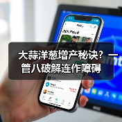 大蒜洋葱增产秘诀?一管八破解连作障碍(图1) 大蒜洋葱增产秘诀?一管八破解连作障碍(图1)