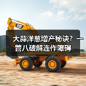 大蒜洋葱增产秘诀?一管八破解连作障碍(图4) 大蒜洋葱增产秘诀?一管八破解连作障碍(图4)