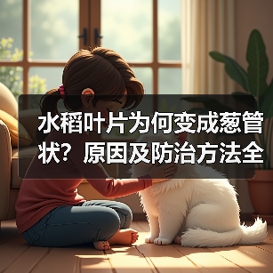 水稻卷叶如何防治?稻纵卷叶螟防治方法解析-辰飞雨绿源新宇生物 水稻卷叶如何防治?稻纵卷叶螟防治方法解析-辰飞雨绿源新宇生物