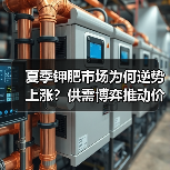 夏季钾肥市场为何逆势上涨?供需博弈推动价格走高(图2) 夏季钾肥市场为何逆势上涨?供需博弈推动价格走高(图2)