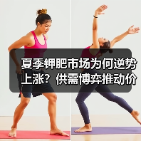 夏季钾肥市场为何逆势上涨?供需博弈推动价格走高(图3) 夏季钾肥市场为何逆势上涨?供需博弈推动价格走高(图3)