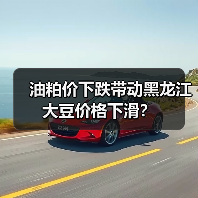 油粕价下跌带动黑龙江大豆价格下滑？（图3）