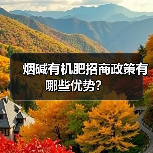 烟碱有机肥招商政策有哪些优势?(图2) 烟碱有机肥招商政策有哪些优势?(图2)