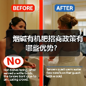 烟碱有机肥招商政策有哪些优势?(图4) 烟碱有机肥招商政策有哪些优势?(图4)