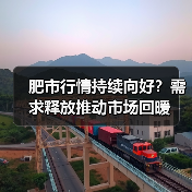 肥市行情持续向好？需求释放推动市场回暖（图1）