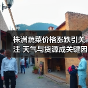 株洲蔬菜价格涨跌引关注 天气与货源成关键因素(图2) 株洲蔬菜价格涨跌引关注 天气与货源成关键因素(图2)