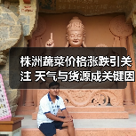 株洲蔬菜价格涨跌引关注 天气与货源成关键因素(图1) 株洲蔬菜价格涨跌引关注 天气与货源成关键因素(图1)