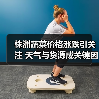 株洲蔬菜价格涨跌引关注 天气与货源成关键因素(图4) 株洲蔬菜价格涨跌引关注 天气与货源成关键因素(图4)