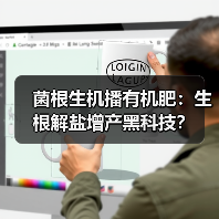 菌根生机播有机肥:生根解盐增产黑科技?(图3) 菌根生机播有机肥:生根解盐增产黑科技?(图3)