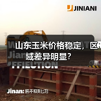 山东玉米价格稳定,区域差异明显?(图1) 山东玉米价格稳定,区域差异明显?(图1)