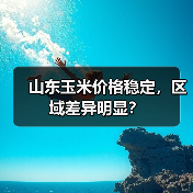 山东玉米价格稳定,区域差异明显?(图2) 山东玉米价格稳定,区域差异明显?(图2)