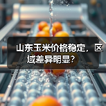 山东玉米价格稳定,区域差异明显?(图3) 山东玉米价格稳定,区域差异明显?(图3)
