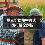 尿素价格稳中有调,全国行情全解析(图3) 尿素价格稳中有调,全国行情全解析(图3)