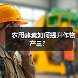 农用酵素如何提升作物产量？（图2）