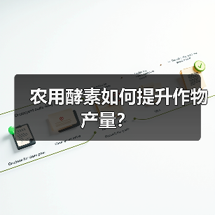 农用酵素如何提升作物产量？（图3）