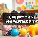 山圩镇甘蔗生产迎来新突破 高效举措助农增收（图3）