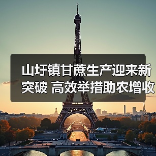 山圩镇甘蔗生产迎来新突破 高效举措助农增收（图4）
