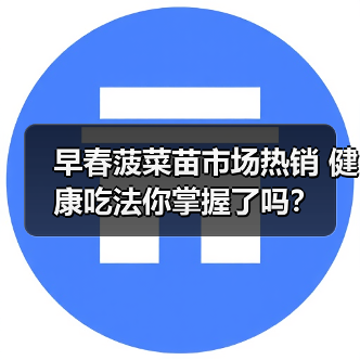 早春菠菜苗市场热销 健康吃法你掌握了吗？（图4）