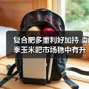复合肥多重利好加持 夏季玉米肥市场稳中有升(图2) 复合肥多重利好加持 夏季玉米肥市场稳中有升(图2)