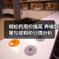 蜈蚣药用价值高 养殖前景与收购价行情分析(图1) 蜈蚣药用价值高 养殖前景与收购价行情分析(图1)