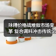 味精价格战难敌市场变革 复合调料冲击传统企业(图3) 味精价格战难敌市场变革 复合调料冲击传统企业(图3)