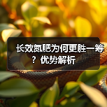 长效氮肥为何更胜一筹?优势解析(图1) 长效氮肥为何更胜一筹?优势解析(图1)